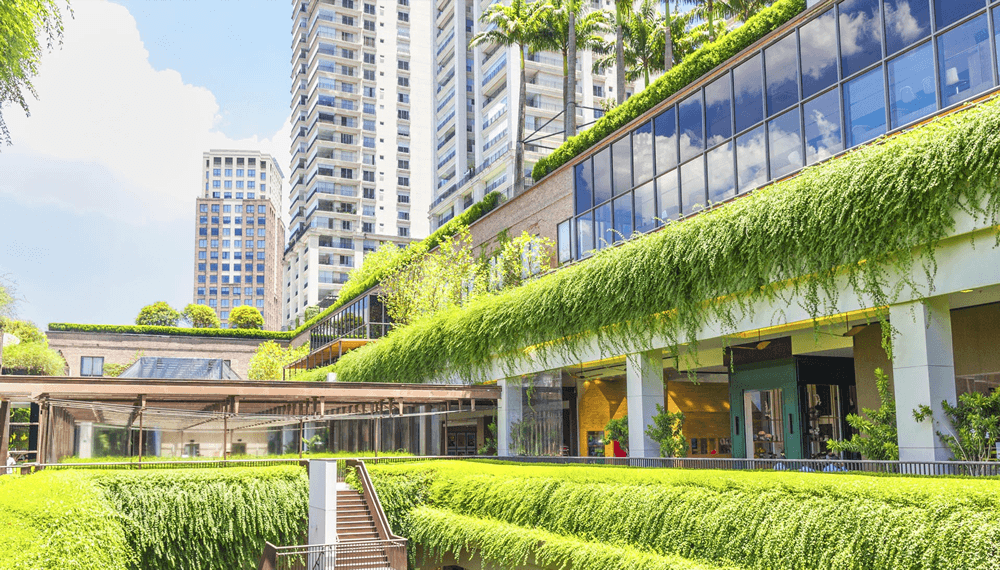 COVER- Environment.fw